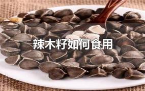 辣木籽如何食用