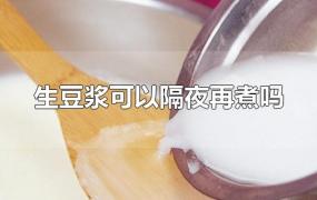 生豆浆可以隔夜再煮吗