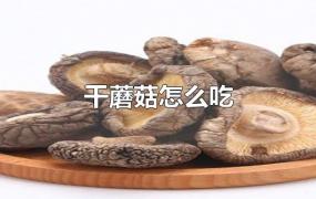 干蘑菇怎么吃