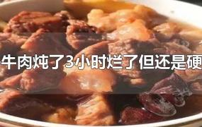 牛肉炖了3小时烂了但还是硬