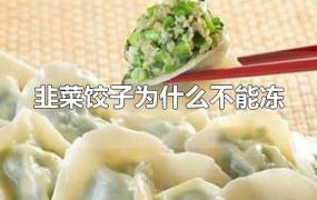 韭菜饺子为什么不能冻