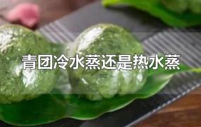 青团冷水蒸还是热水蒸