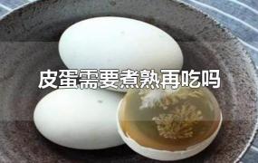 皮蛋需要煮熟再吃吗