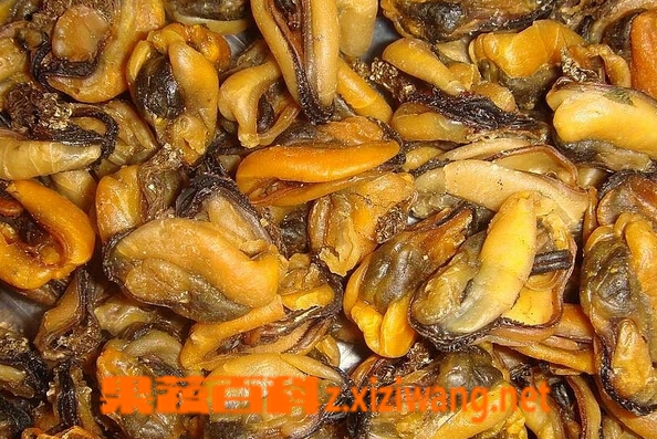 果蔬百科淡菜干