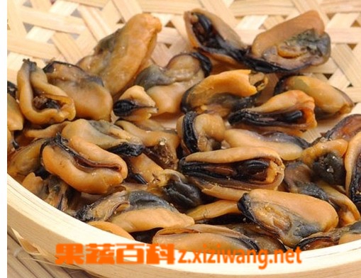 果蔬百科淡菜干怎么洗 淡菜干做法大全