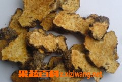 果蔬百科苍术的功效与作用及食用方法