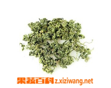 果蔬百科绞股蓝茶