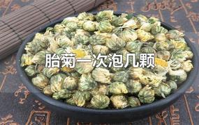 胎菊一次泡几颗