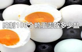 腌制100个鸭蛋需放多少盐