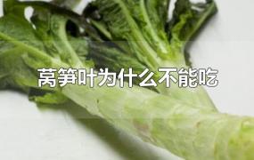 莴笋叶为什么不能吃