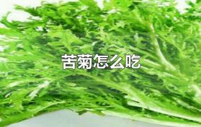 苦菊怎么吃