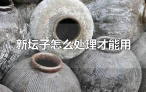 新坛子怎么处理才能用