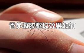 香茅凝胶驱蚊效果如何