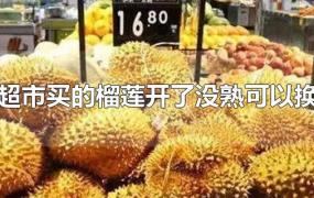 在超市买的榴莲开了没熟可以换吗