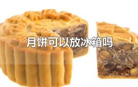 月饼可以放冰箱吗