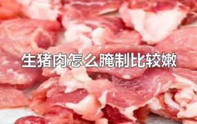 生猪肉怎么腌制比较嫩