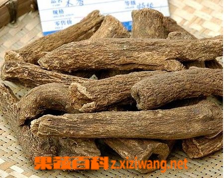 果蔬百科木香图片 木香的功效与作用