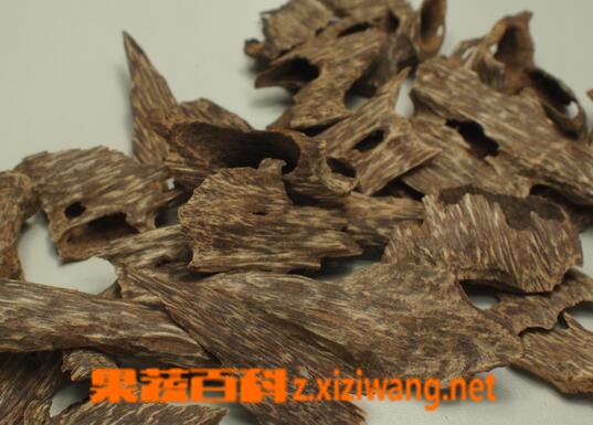 果蔬百科沉香是什么