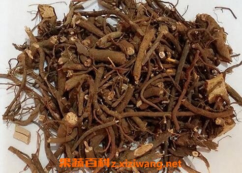 白石榴根的功效与作用及禁忌