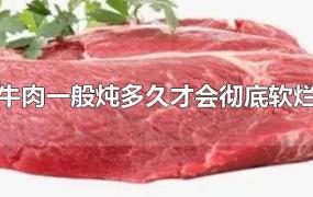 牛肉一般炖多久才会彻底软烂