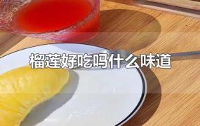 榴莲好吃吗什么味道