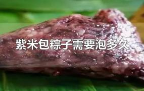 紫米包粽子需要泡多久