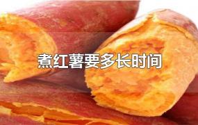 煮红薯要多长时间