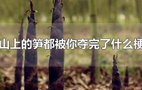 山上的笋都被你夺完了什么梗