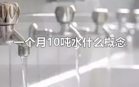 一个月10吨水什么概念