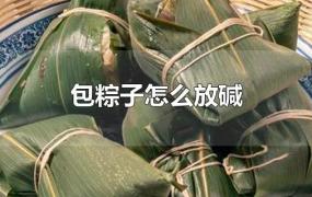 包粽子怎么放碱