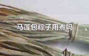 马莲包粽子用煮吗