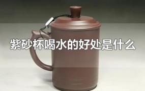 紫砂杯喝水的好处是什么