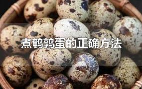 煮鹌鹑蛋的正确方法