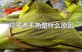 粽子煮不熟是什么原因