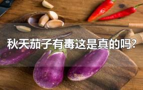 秋天茄子有毒这是真的吗?