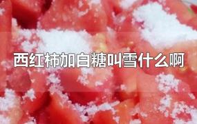 西红柿加白糖叫雪什么啊