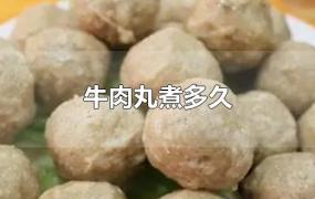 牛肉丸煮多久