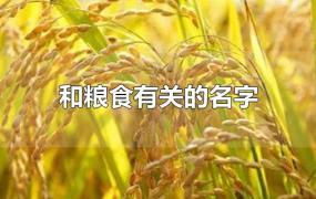 和粮食有关的名字