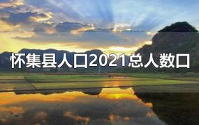 怀集县人口2021总人数口