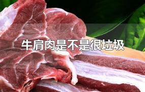 牛肩肉是不是很垃圾