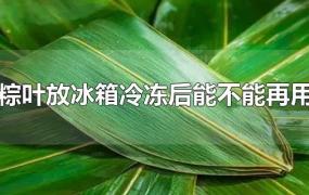 粽叶放冰箱冷冻后能不能再用