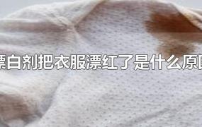 漂白剂把衣服漂红了是什么原因