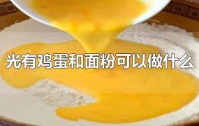 光有鸡蛋和面粉可以做什么