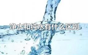 净水和纯水有什么区别