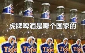 虎牌啤酒是哪个国家的