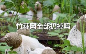 竹荪网全部扔掉吗