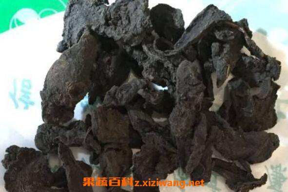 制草乌的功效与作用及药用价值