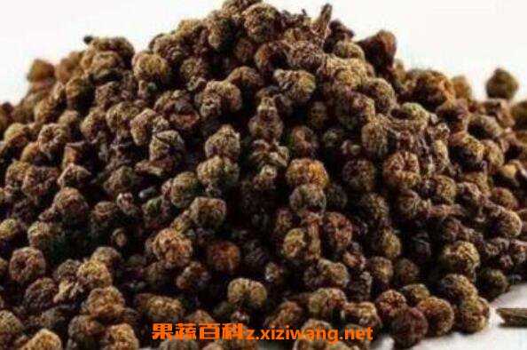 吴茱萸的功效与作用及药用价值