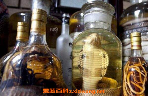 蛇泡酒有什么功效 蛇泡酒的功效与作用