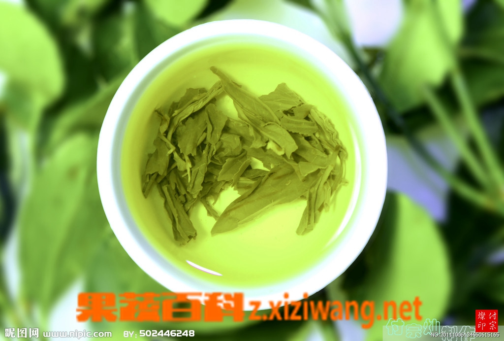 果蔬百科绿茶有哪些品种